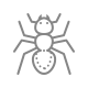 ants