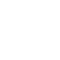 insect (6)