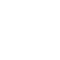 insect (6)